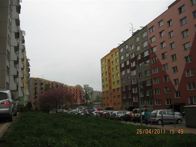 IMG_0739 IMG_0739